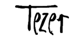 tezer logo